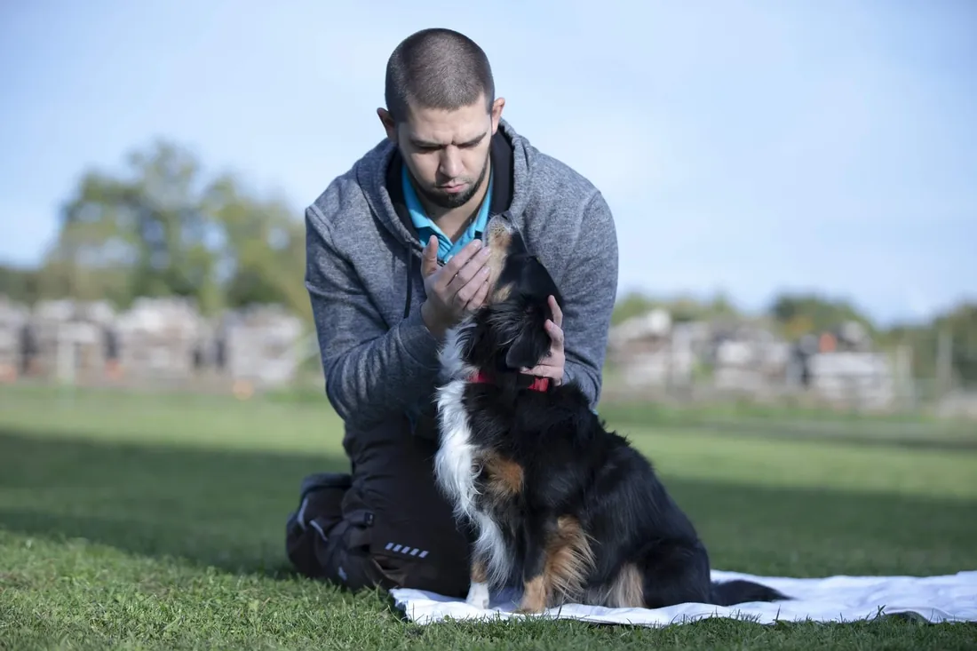 Gentle treatment of a dog