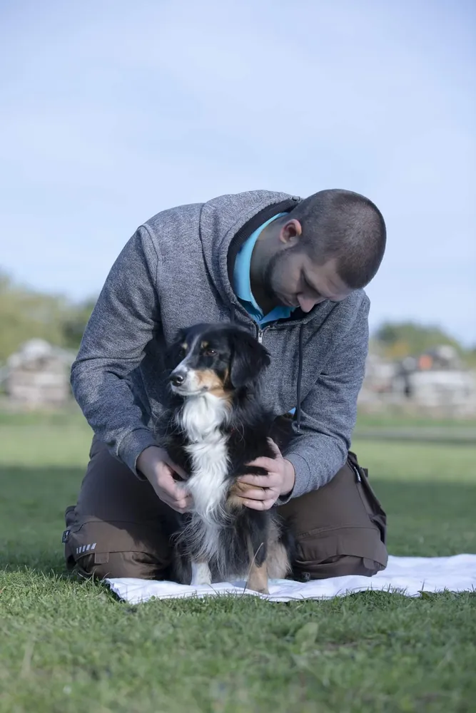 Hund während der Physiotherapie