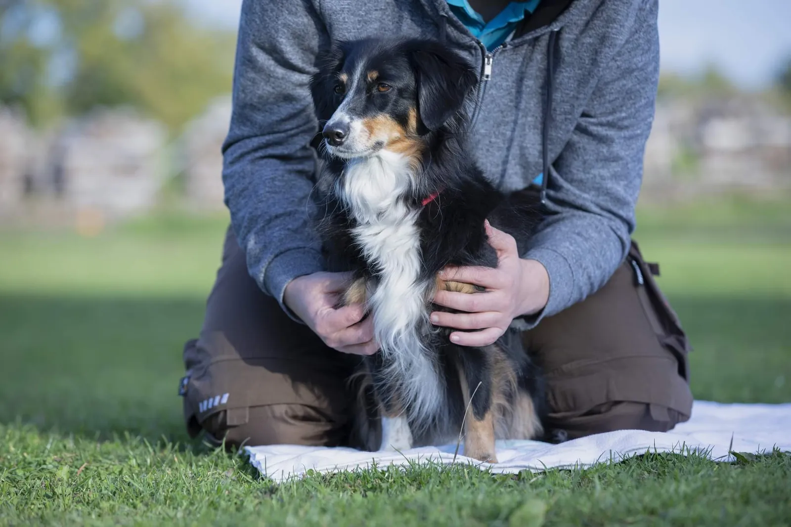 Leif Atkins bei der Hundephysiotherapie mit einem Hund im Saarland