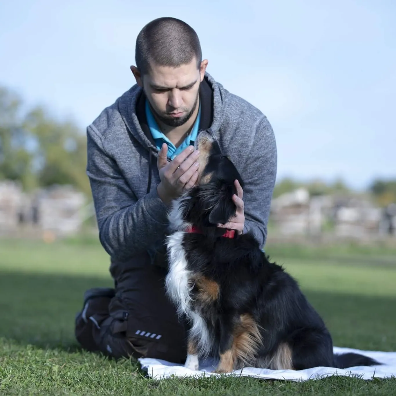 Leif Atkins behandelt Hund
