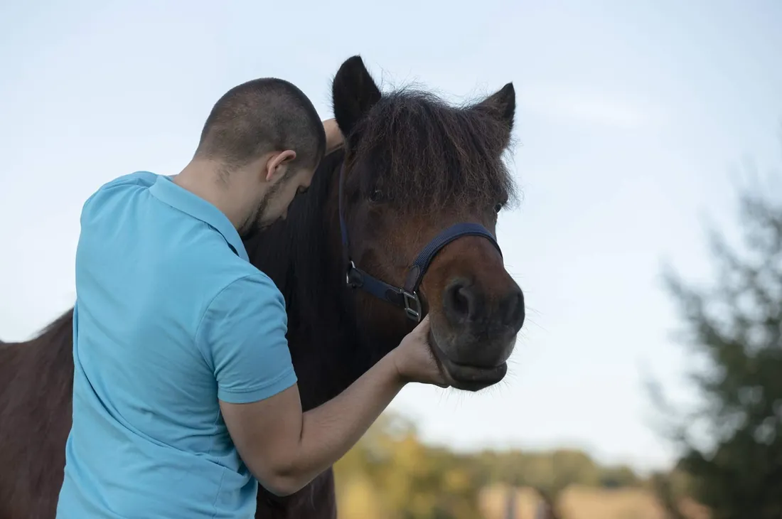 Vertrauensvoller Moment mit dem Pferd